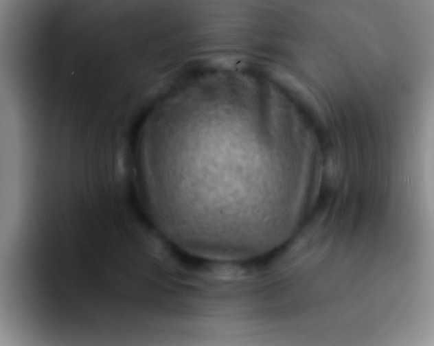 X0000092040424200709261954