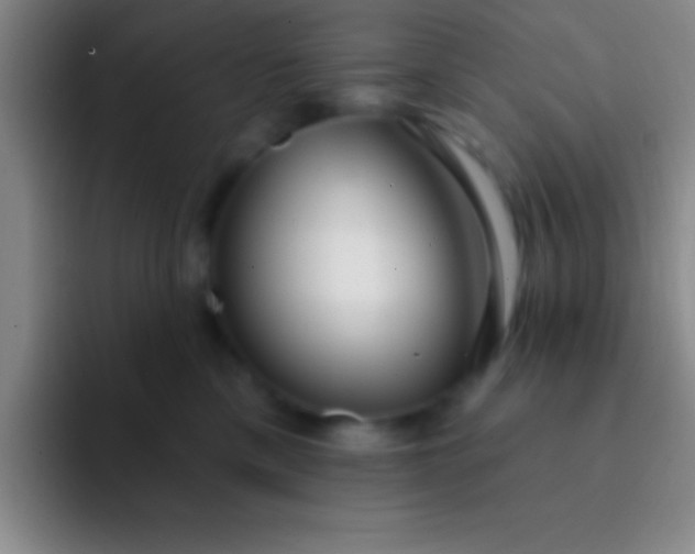 X0000092040425200709261954