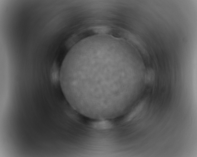 X0000092040431200709261954