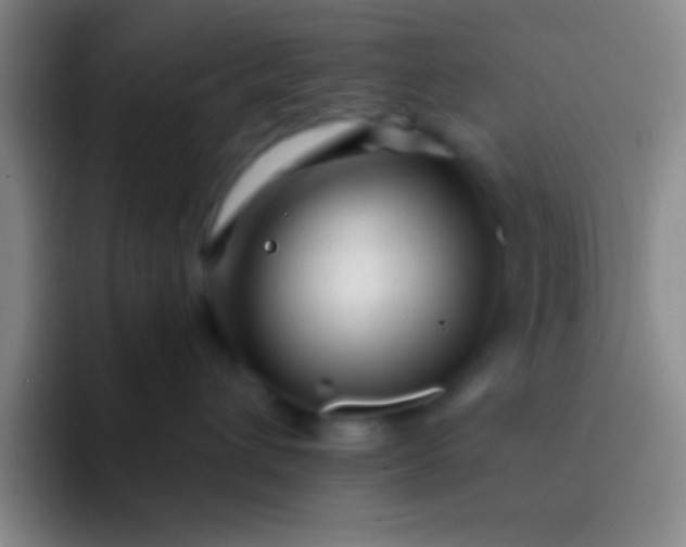 X0000092040432200709261954