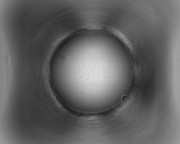 X0000092040433200709261953