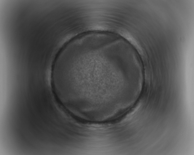 X0000092040434200709261953