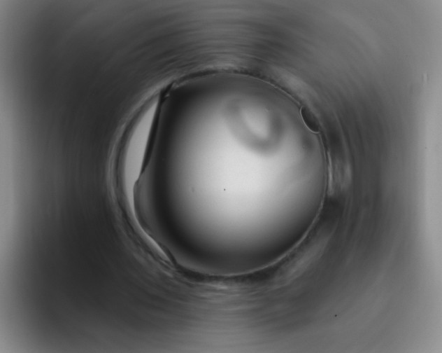 X0000092040435200709261953