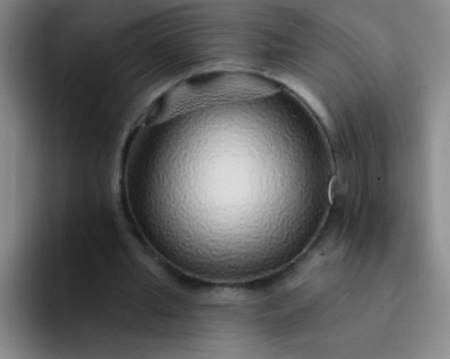 X0000092040437200709261953