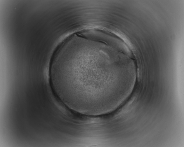 X0000092040438200709261953