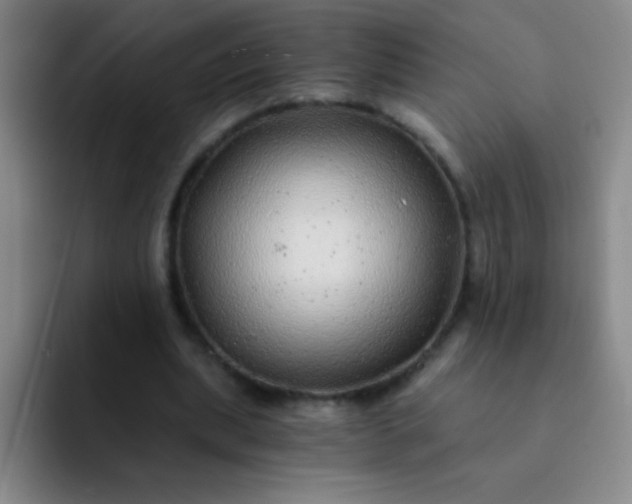 X0000092040439200709261953