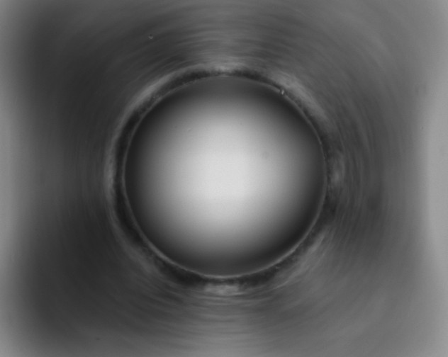 X0000092040440200709261953