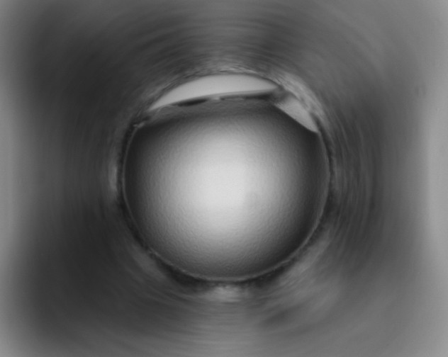 X0000092040441200709261953