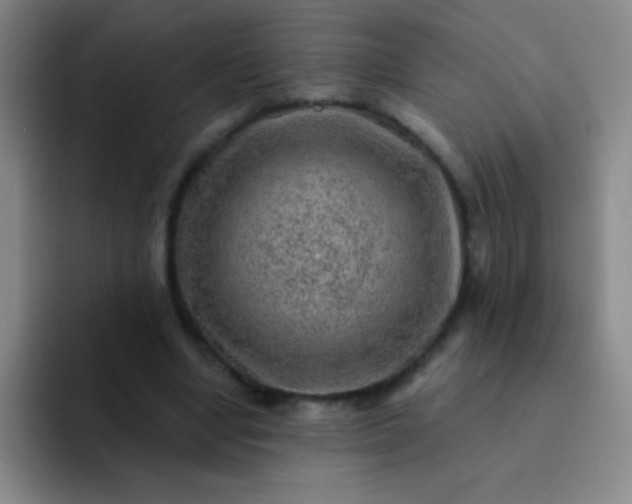 X0000092040442200709261953