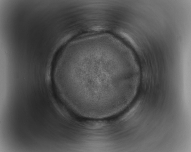 X0000092040443200709261953