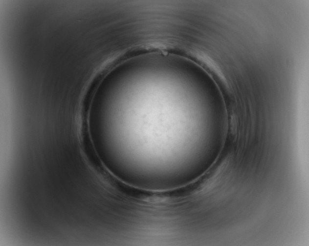 X0000092040444200709261953