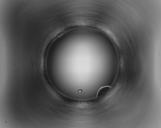 X0000092040445200709261953