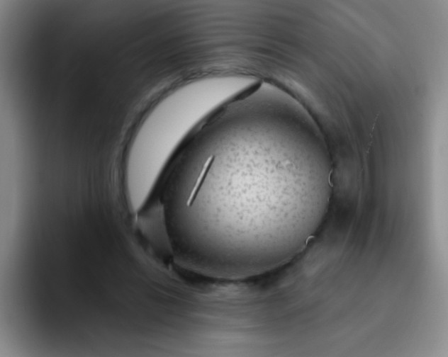 X0000092040446200709261953