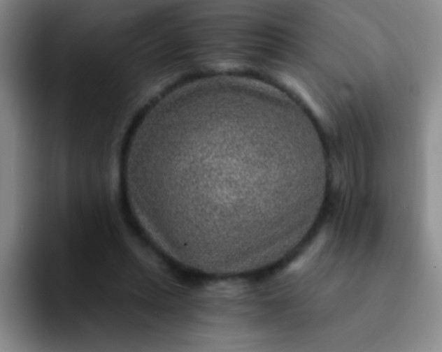 X0000092040447200709261953