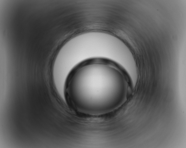 X0000092040448200709261953