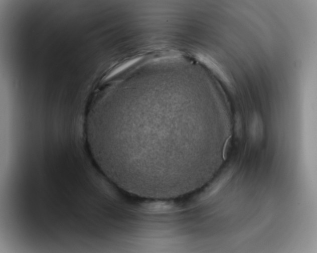 X0000092040449200709261953