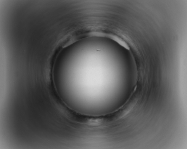 X0000092040450200709261953