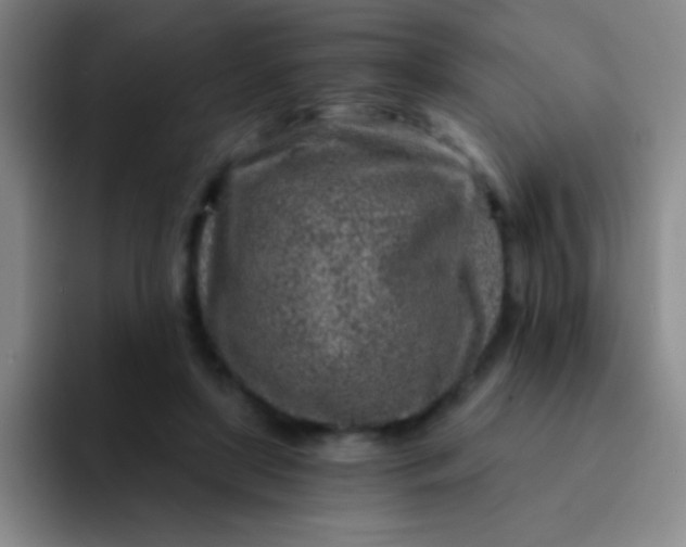 X0000092040451200709261953