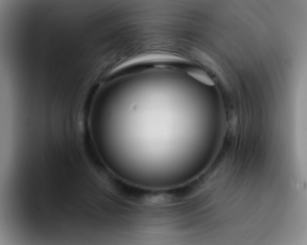 X0000092040452200709261953