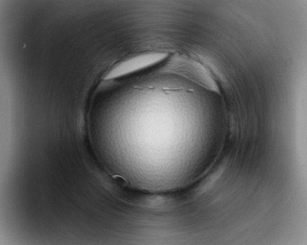 X0000092040453200709261953