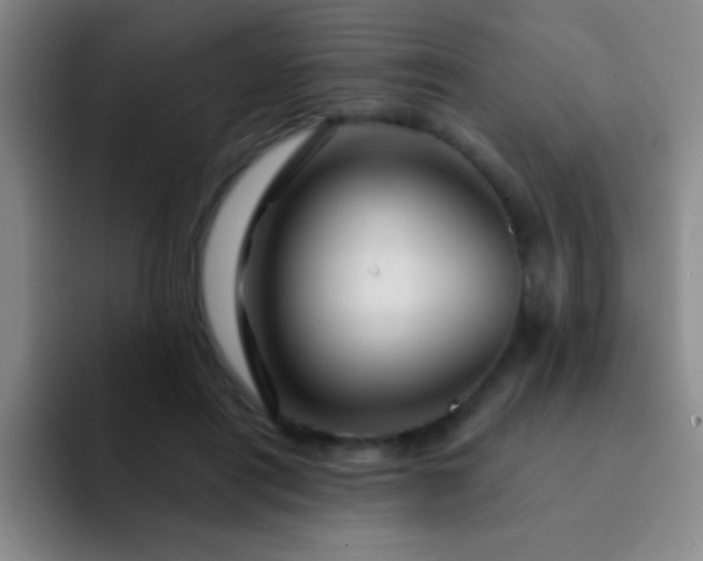 X0000092040454200709261953