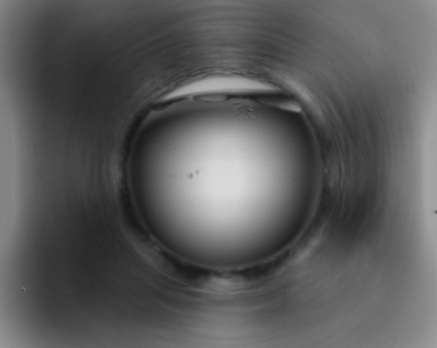 X0000092040455200709261953