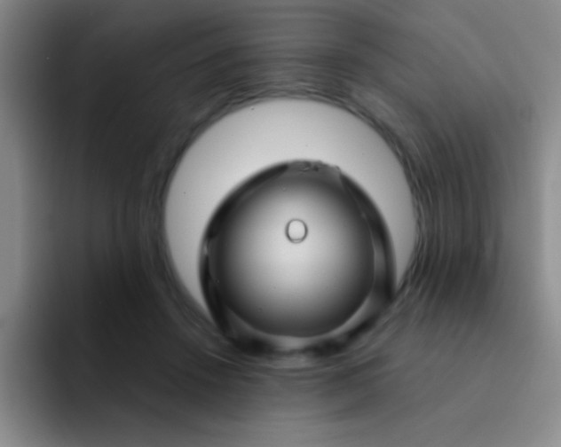 X0000092040456200709261953