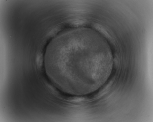 X0000092040458200709261953