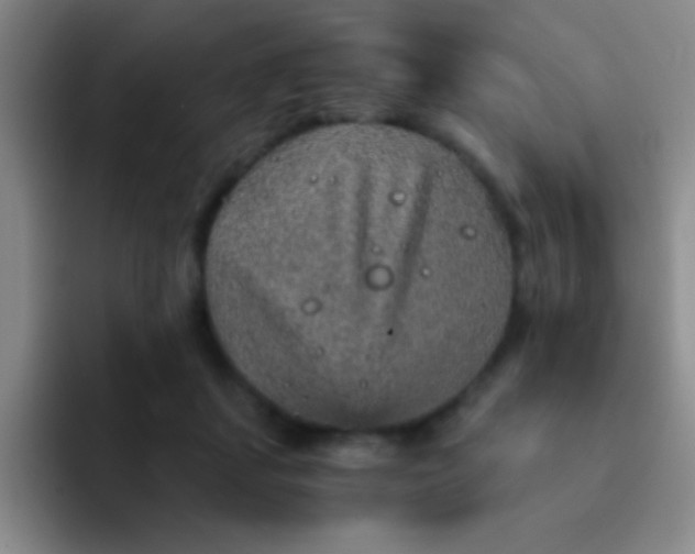 X0000092040459200709261953