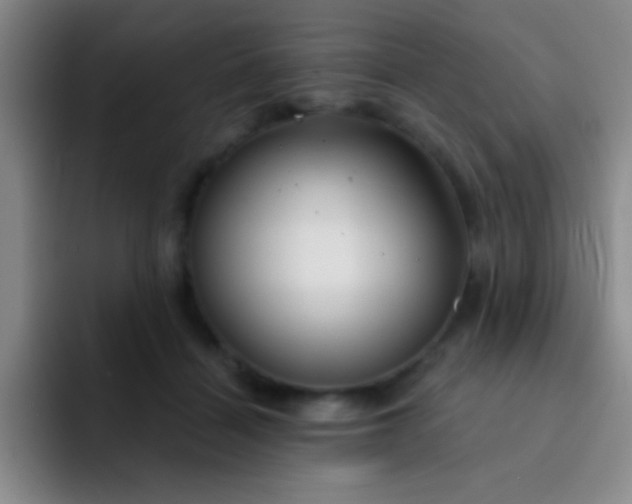 X0000092040460200709261953