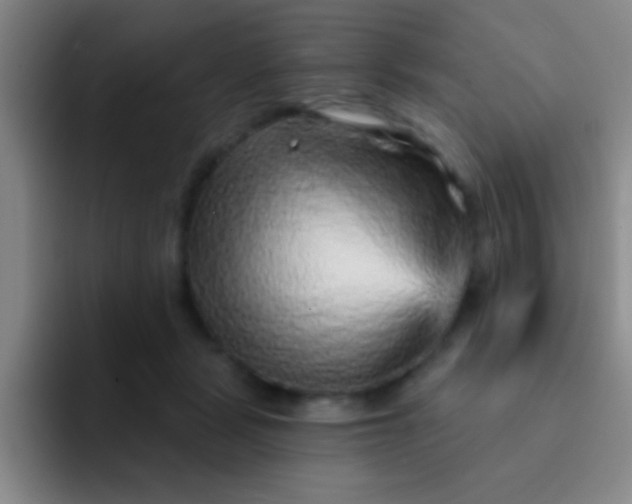 X0000092040461200709261953