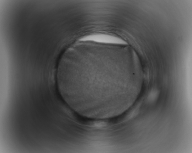 X0000092040462200709261953