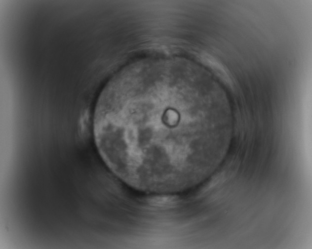 X0000092040465200709261954