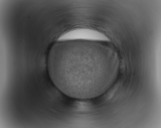 X0000092040466200709261954