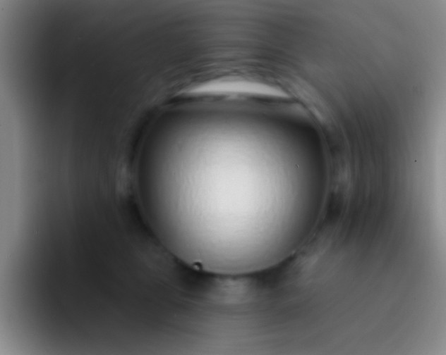 X0000092040469200709261954