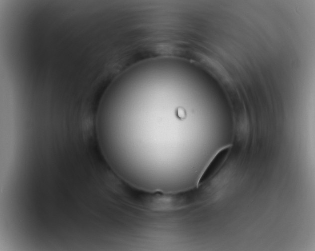 X0000092040473200709261954