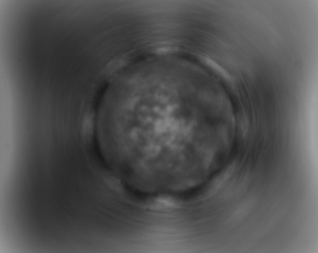 X0000092040475200709261954