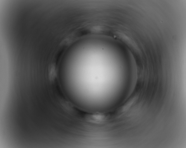 X0000092040478200709261954