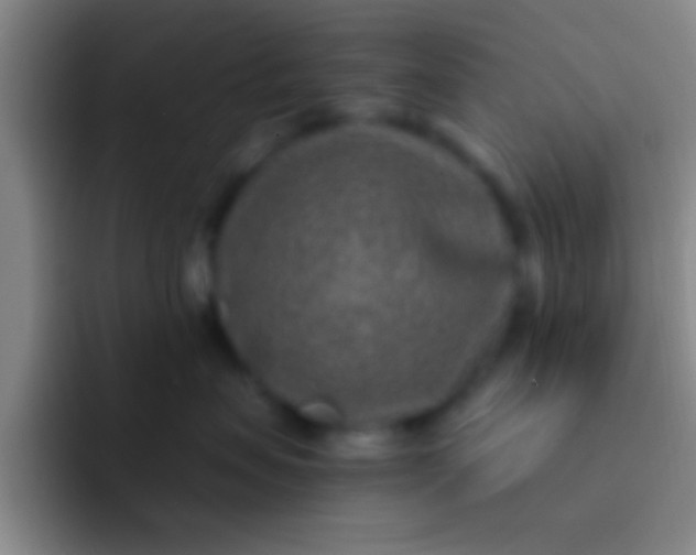 X0000092040479200709261954