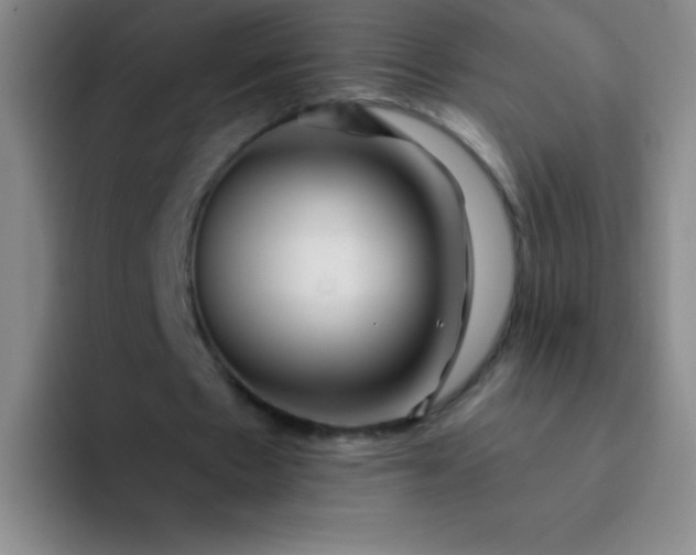 X0000092040481200709261953