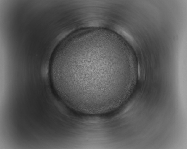 X0000092040483200709261953