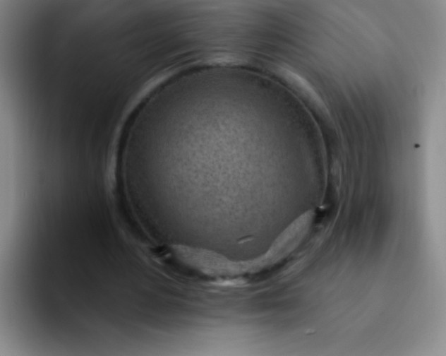 X0000092040484200709261953