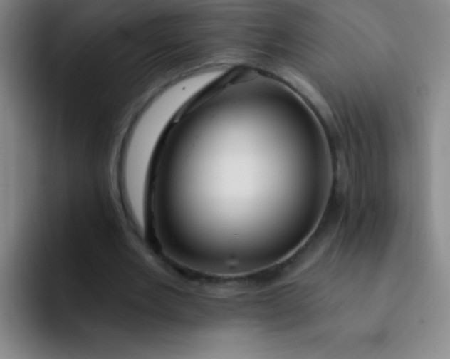 X0000092040485200709261953