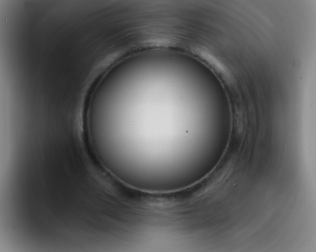 X0000092040486200709261953