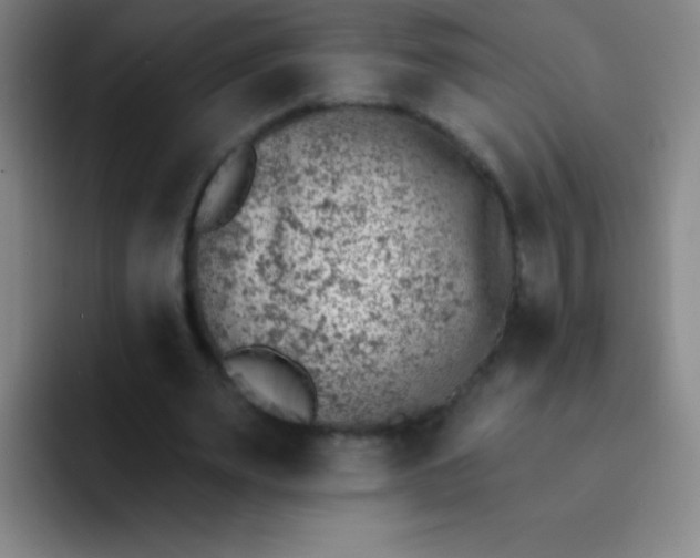 X0000092040487200709261953