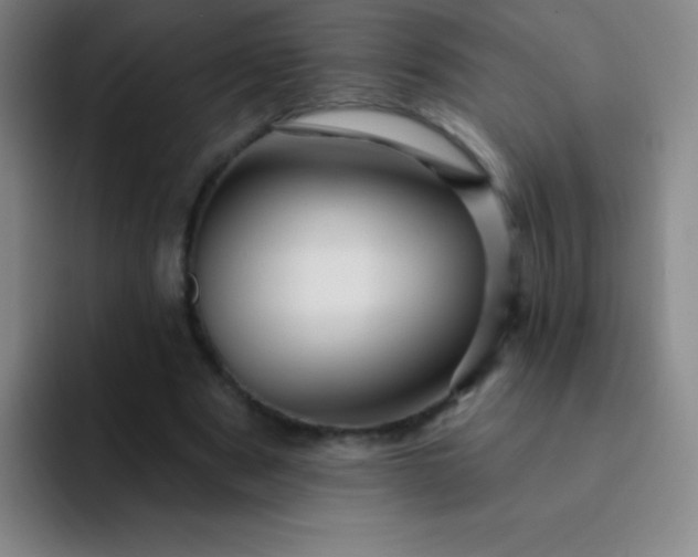 X0000092040489200709261953