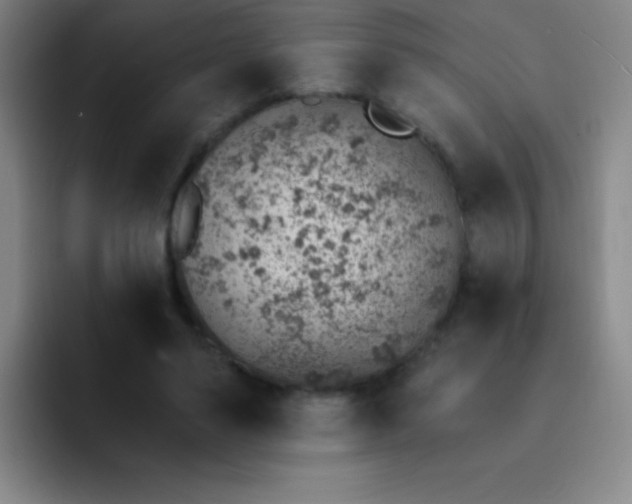 X0000092040491200709261953