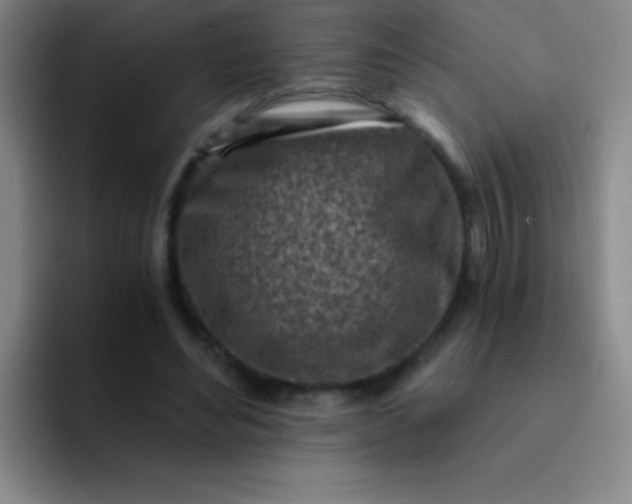 X0000092040492200709261953