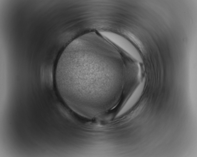 X0000092040493200709261953