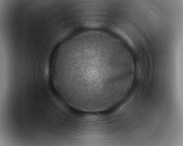 X0000092040494200709261953